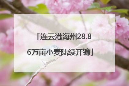 连云港海州28.86万亩小麦陆续开镰