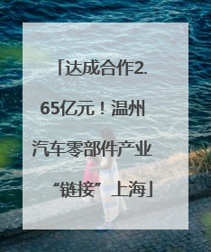 达成合作2.65亿元！温州汽车零部件产业“链接”上海