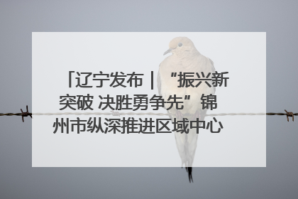 辽宁发布｜“振兴新突破 决胜勇争先”锦州市纵深推进区域中心城市建设 打造高质量发展新增长极