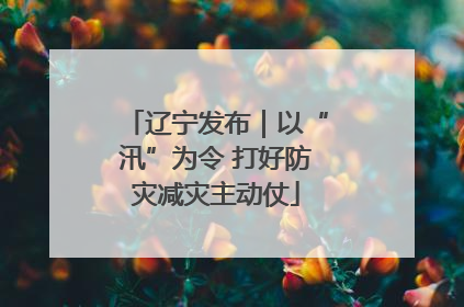 辽宁发布｜以“汛”为令 打好防灾减灾主动仗