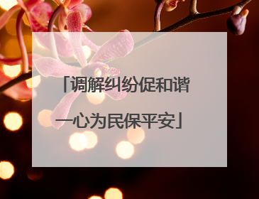 调解纠纷促和谐 一心为民保平安