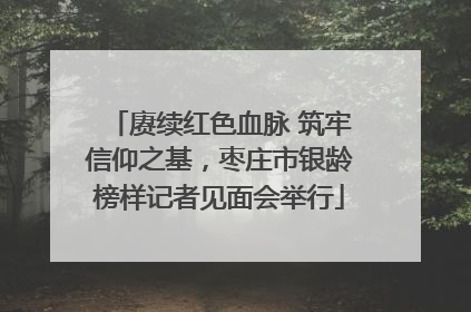 赓续红色血脉 筑牢信仰之基，枣庄市银龄榜样记者见面会举行