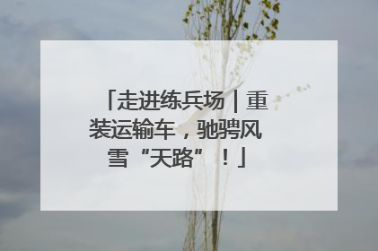 走进练兵场｜重装运输车，驰骋风雪“天路”！