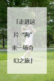 走进这片“海”来一场奇幻之旅