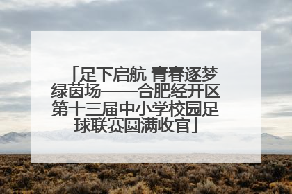 足下启航 青春逐梦绿茵场——合肥经开区第十三届中小学校园足球联赛圆满收官