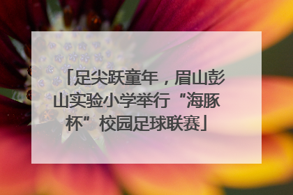 足尖跃童年，眉山彭山实验小学举行“海豚杯”校园足球联赛