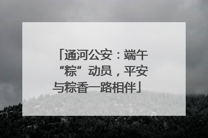 通河公安：端午“粽”动员，平安与粽香一路相伴