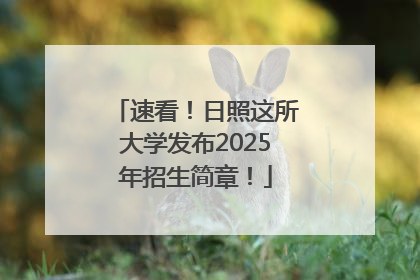 速看！日照这所大学发布2025年招生简章！