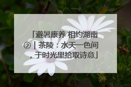 避暑康养 相约湖南②｜茶陵：水天一色间，于时光里拾取诗意