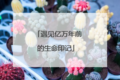 遇见亿万年前的生命印记