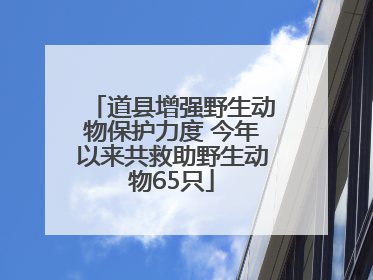 道县增强野生动物保护力度 今年以来共救助野生动物65只