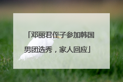 邓丽君侄子参加韩国男团选秀，家人回应