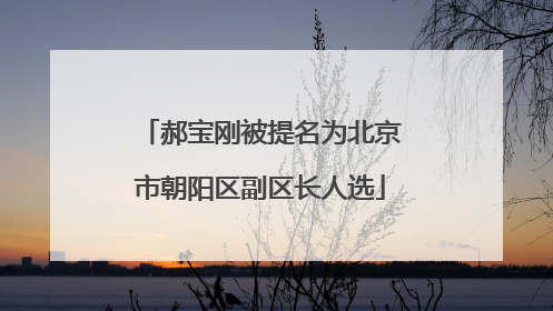 郝宝刚被提名为北京市朝阳区副区长人选