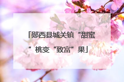 郧西县城关镇“甜蜜”桃变“致富”果