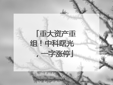 重大资产重组！中科曙光，一字涨停