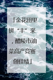 金花田里拼“丰”采，醴陵市油菜高产竞赛创佳绩