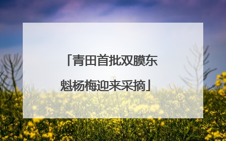 青田首批双膜东魁杨梅迎来采摘