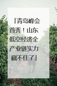青岛峰会首秀！山东低空经济全产业链实力藏不住了