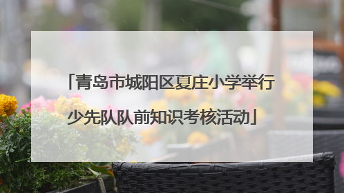 青岛市城阳区夏庄小学举行少先队队前知识考核活动
