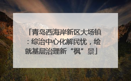 青岛西海岸新区大场镇：综治中心化解民忧，绘就基层治理新“枫”景
