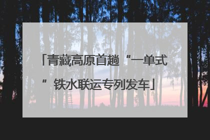 青藏高原首趟“一单式”铁水联运专列发车