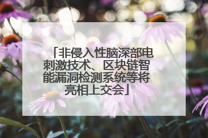 非侵入性脑深部电刺激技术、区块链智能漏洞检测系统等将亮相上交会