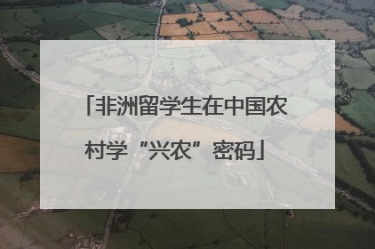 非洲留学生在中国农村学“兴农”密码