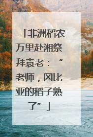 非洲稻农万里赴湘祭拜袁老：“老师，冈比亚的稻子熟了”