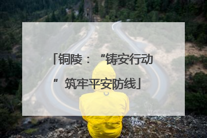 铜陵：“铸安行动”筑牢平安防线