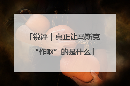 锐评｜真正让马斯克“作呕”的是什么