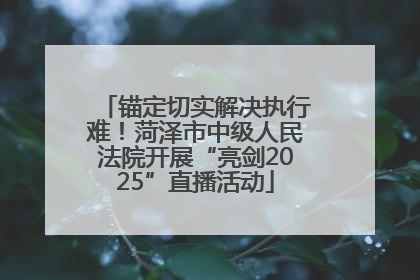 锚定切实解决执行难！菏泽市中级人民法院开展“亮剑2025”直播活动