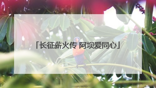 长征薪火传 阿坝爱同心