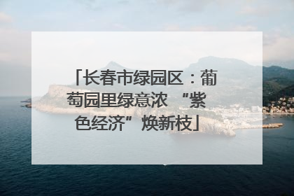 长春市绿园区：葡萄园里绿意浓 “紫色经济”焕新枝