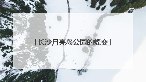 长沙月亮岛公园的蝶变