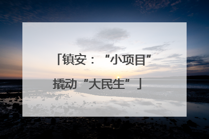 镇安：“小项目”撬动“大民生”