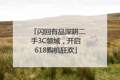 闪回有品深耕二手3C领域，开启618购机狂欢