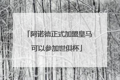 阿诺德正式加盟皇马 可以参加世俱杯