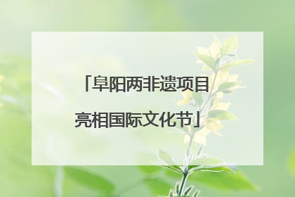 阜阳两非遗项目亮相国际文化节