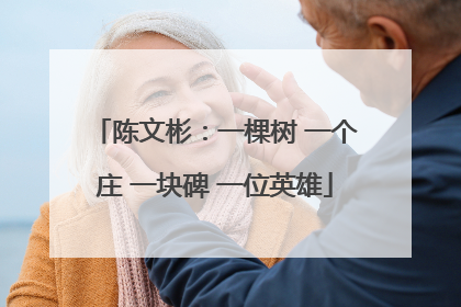 陈文彬：一棵树 一个庄 一块碑 一位英雄
