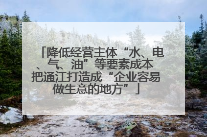 降低经营主体“水、电、气、油”等要素成本 把通江打造成“企业容易做生意的地方”