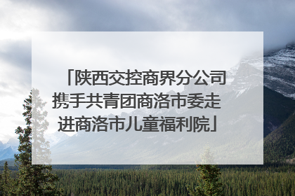 陕西交控商界分公司携手共青团商洛市委走进商洛市儿童福利院