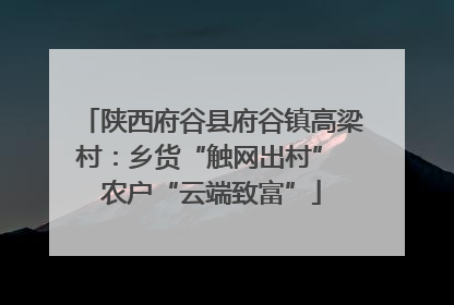 陕西府谷县府谷镇高梁村：乡货“触网出村” 农户“云端致富”