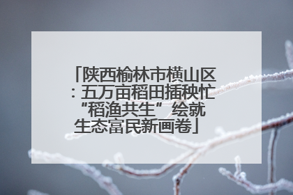陕西榆林市横山区：五万亩稻田插秧忙 “稻渔共生”绘就生态富民新画卷