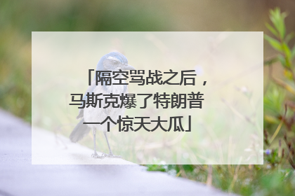 隔空骂战之后，马斯克爆了特朗普一个惊天大瓜