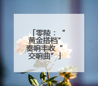 零陵：“黄金搭档”奏响丰收“交响曲”