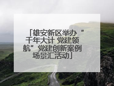 雄安新区举办“千年大计 党建领航”党建创新案例场景汇活动