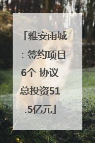 雅安雨城：签约项目6个 协议总投资51.5亿元