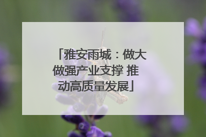 雅安雨城：做大做强产业支撑 推动高质量发展