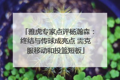 雅虎专家点评杨瀚森：终结与传球成亮点 需克服移动和投篮短板