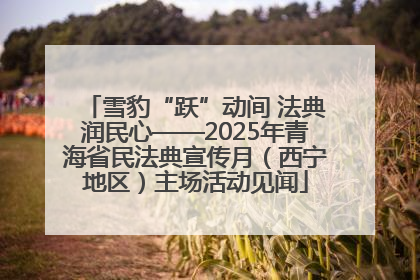 雪豹“跃”动间 法典润民心——2025年青海省民法典宣传月（西宁地区）主场活动见闻